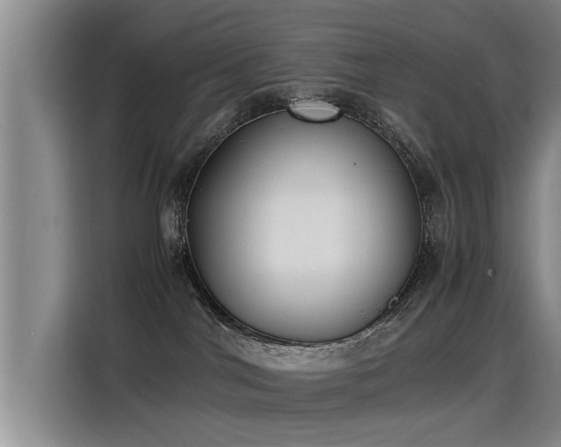 X0000115280044200911061337