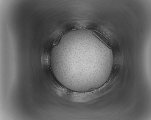 X0000115280045200911061337