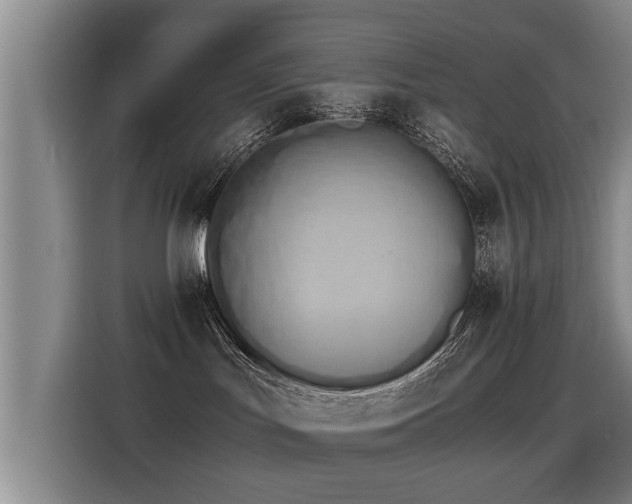 X0000115280047200911061337