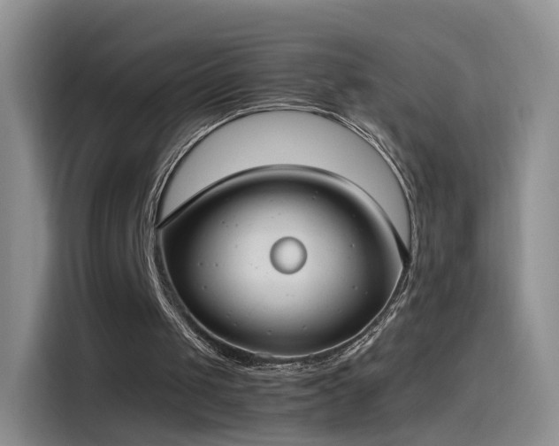 X0000115280049200911061336