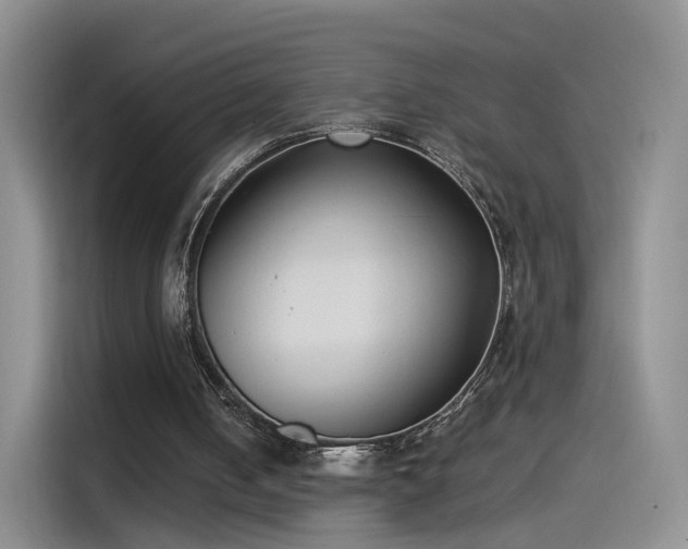 X0000115280050200911061336