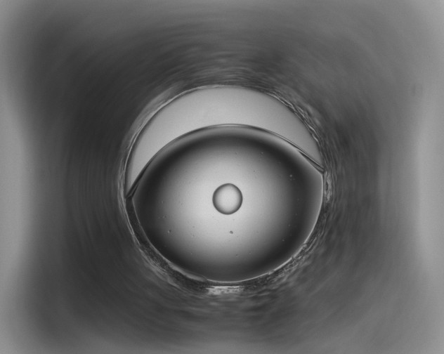 X0000115280051200911061336