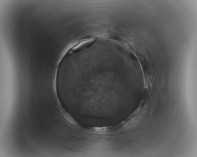 X0000115280052200911061336