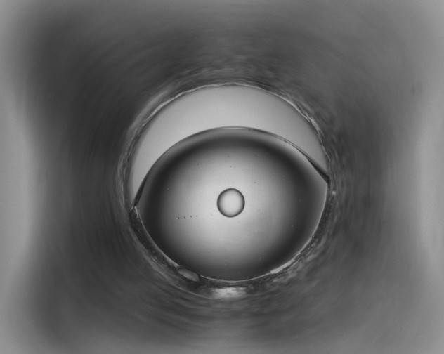 X0000115280053200911061336