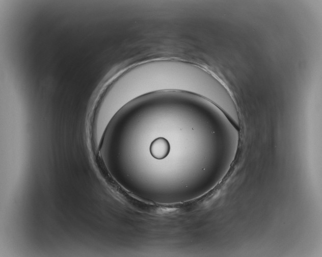 X0000115280055200911061336