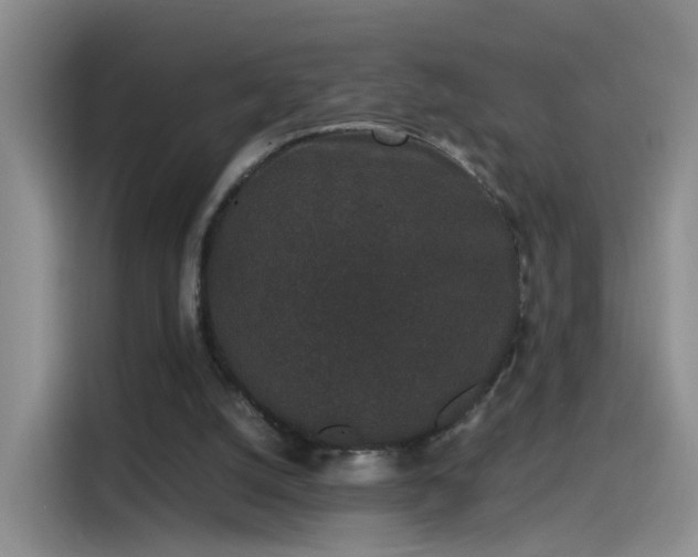 X0000115280056200911061336