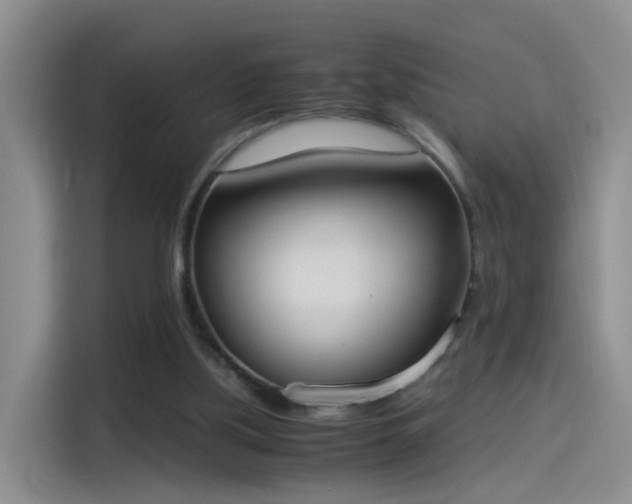 X0000115280059200911061336