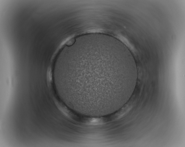 X0000115280060200911061336