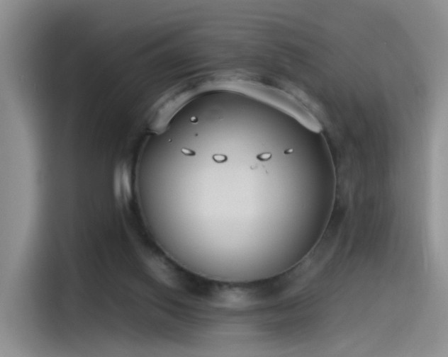 X0000115280062200911061336