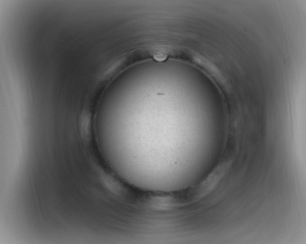 X0000115280066200911061336