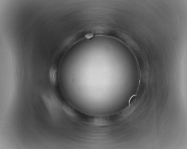 X0000115280070200911061336