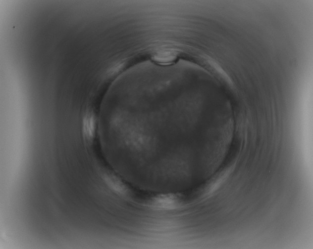 X0000115280076200911061336