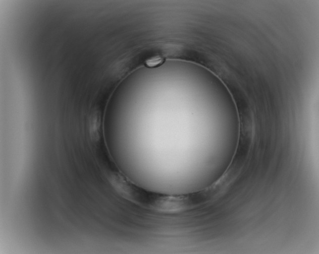 X0000115280082200911061336