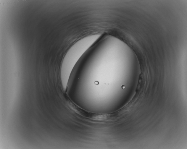 X0000115280084200911061337