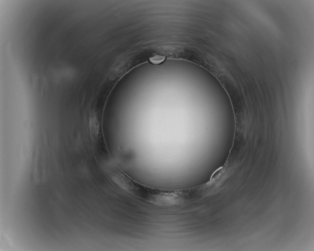 X0000115280086200911061337