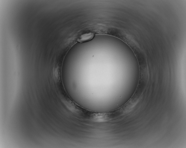 X0000115280088200911061337