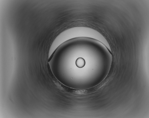 X0000115280089200911061337