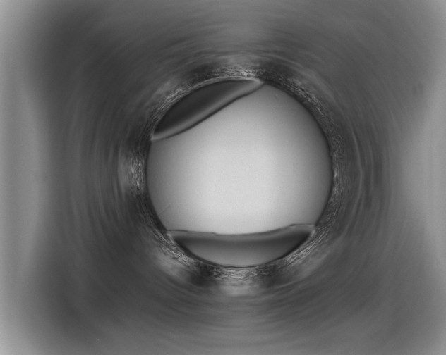 X0000115280096200911061337