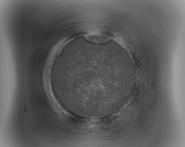 X0000115280097200911061336