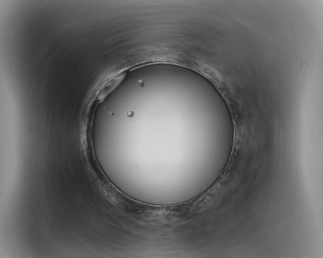 X0000115280098200911061336