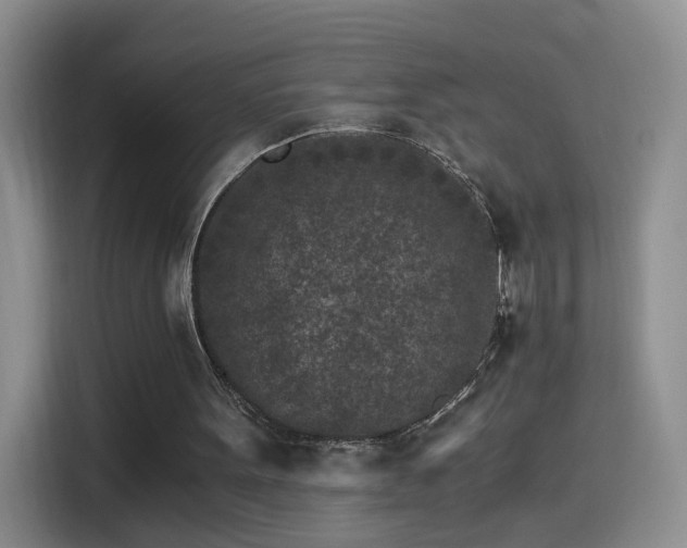 X0000115280099200911061336