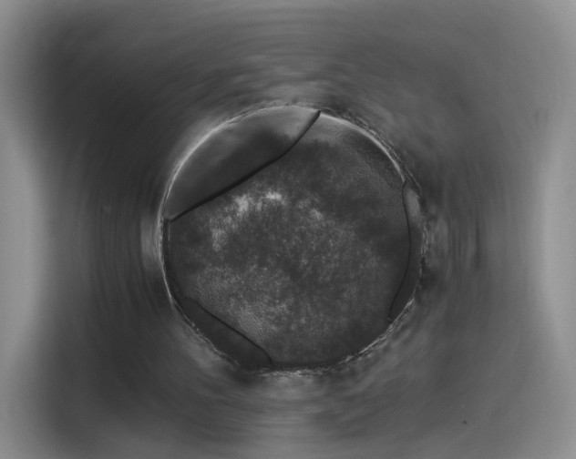 X0000115280100200911061336