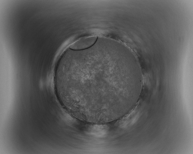 X0000115280101200911061336