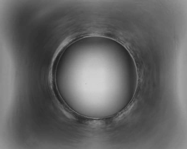 X0000115280102200911061336