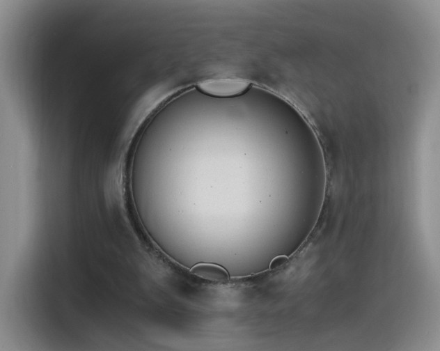 X0000115280103200911061336