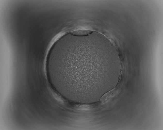 X0000115280104200911061336