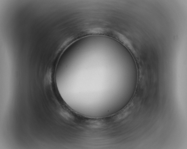 X0000115280106200911061336