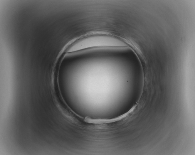 X0000115280108200911061336