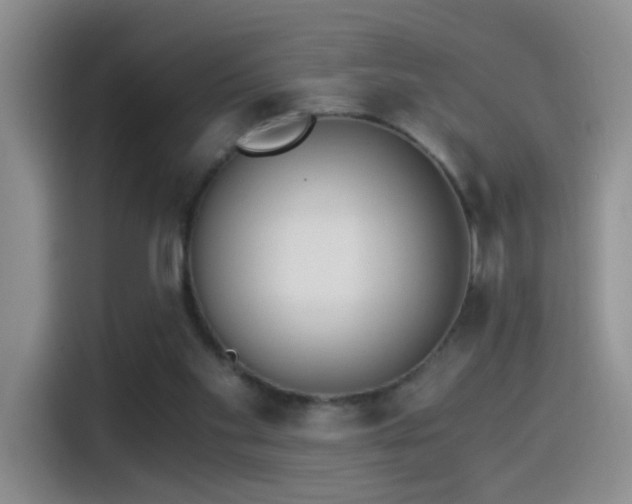 X0000115280109200911061336