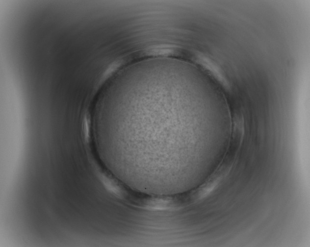 X0000115280110200911061336