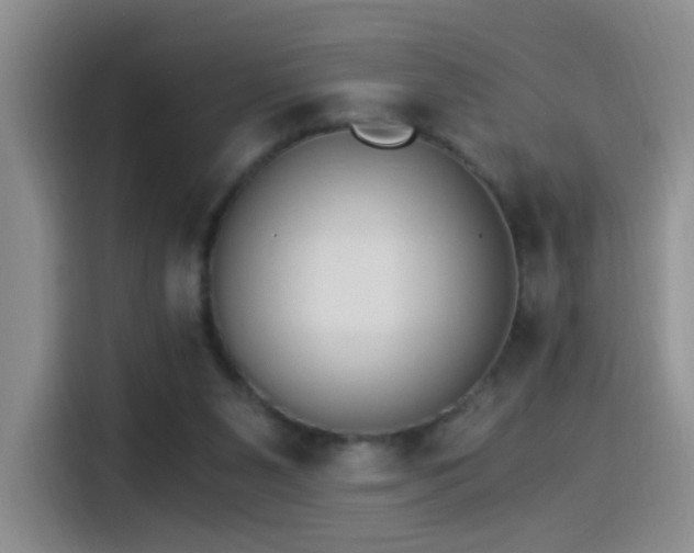 X0000115280111200911061336