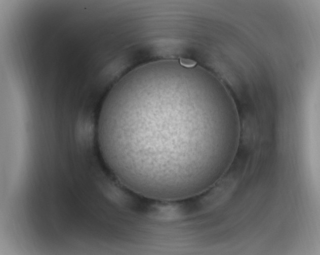 X0000115280113200911061336