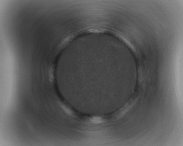 X0000115280114200911061336