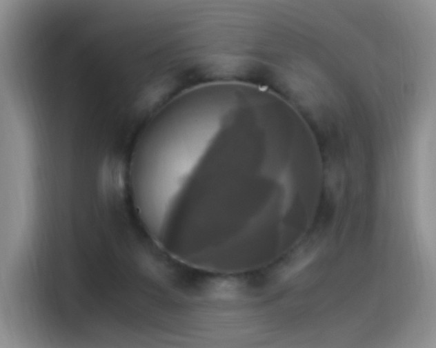 X0000115280115200911061336