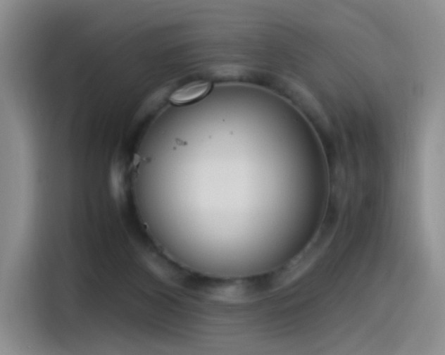 X0000115280116200911061336