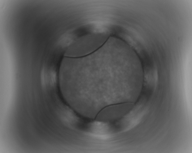 X0000115280117200911061336