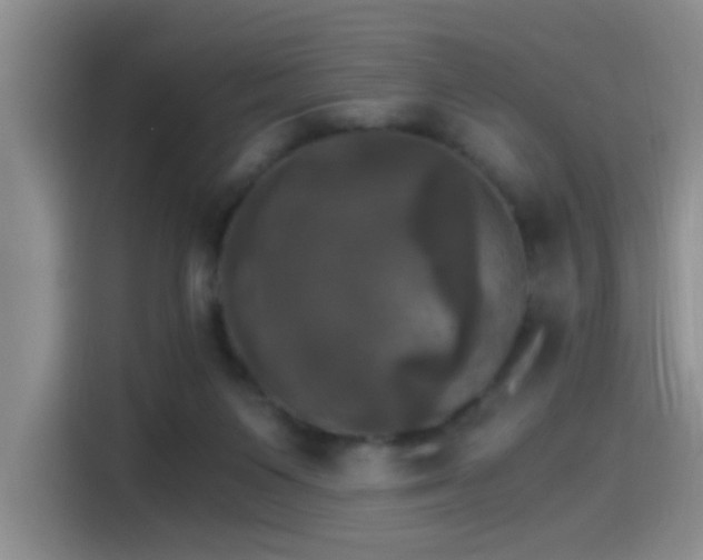 X0000115280119200911061336