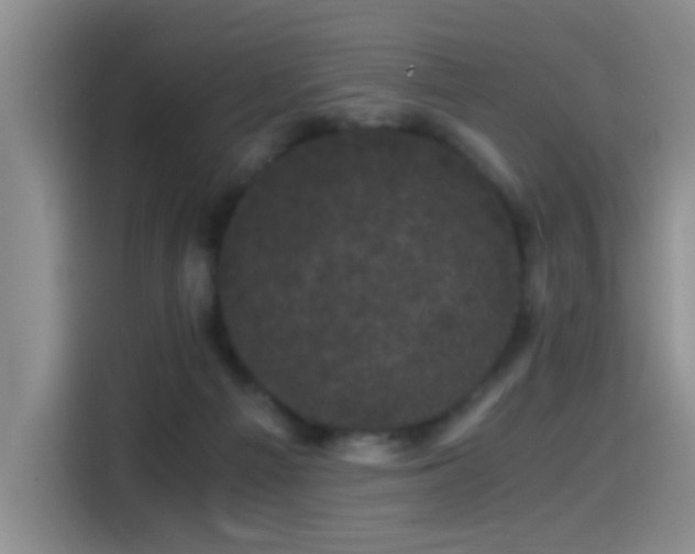 X0000115280121200911061336