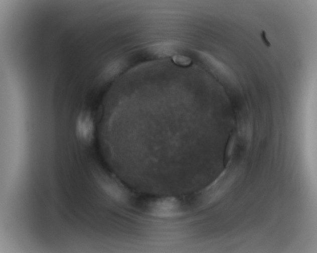 X0000115280124200911061336