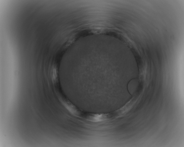 X0000115280130200911061336