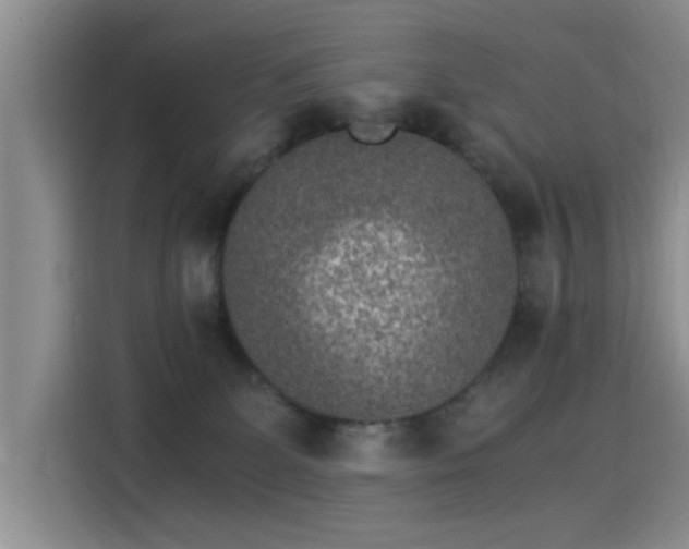 X0000115280131200911061336