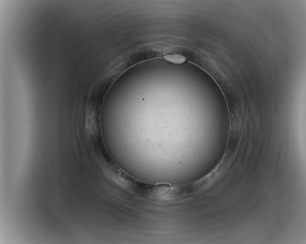 X0000115280136200911061336