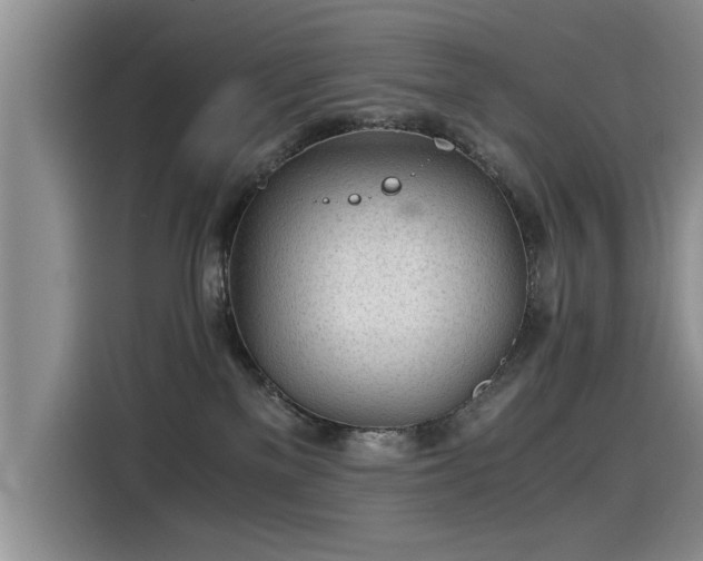 X0000115280137200911061336