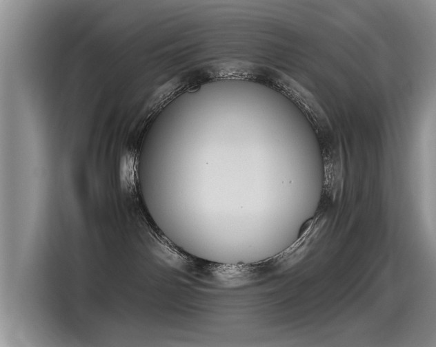 X0000115280142200911061335