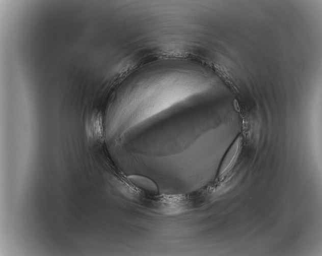 X0000115280143200911061335