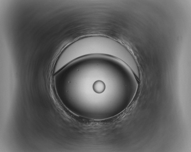 X0000115280145200911061335